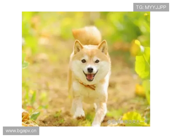 刘国梁家的狗吃的都比我工资高