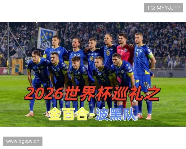 波黑队能否在2026世界杯预选赛中突围晋级正赛